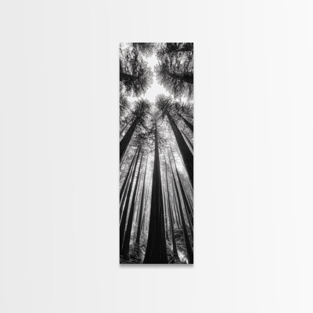 Redwood Forest, Sunlight Trees, Nature Canopy, Canvas Print, Serene Woodland Art, Cabin Wall Decor, Black and White Forest Art, Bedroom Wall Art