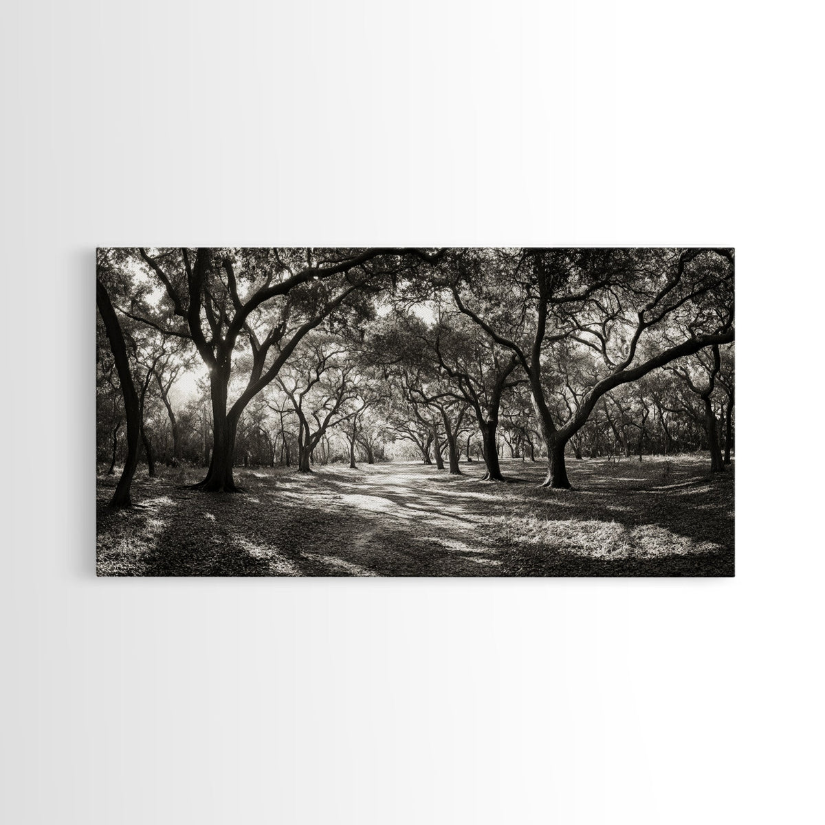 Oak Tree Path, Autumn Forest Glow, Nature Trail Photography, Framed Canvas Print, Hallway Wall Art, Earthy Decor, Woodland Art