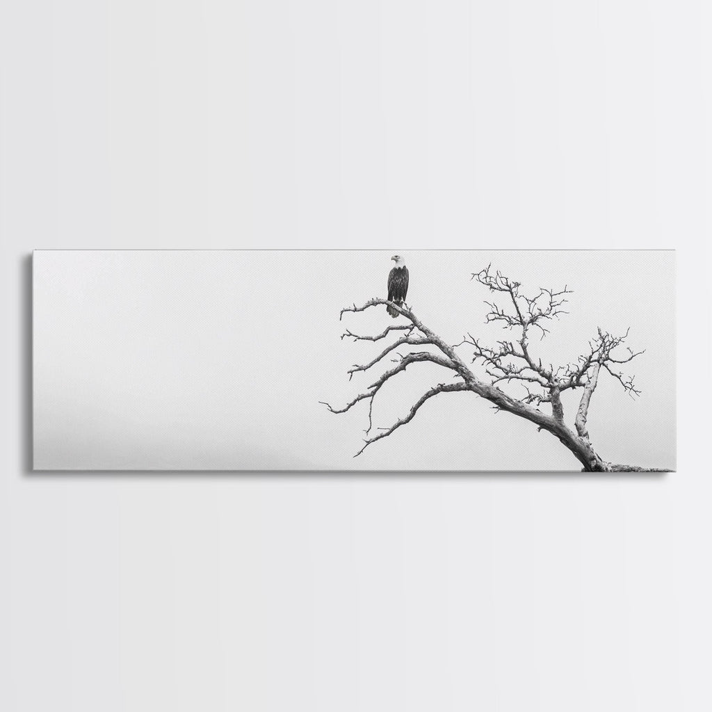 Bald Eagle, Tree Perch, Foggy Coast, Framed Canvas Print, Wildlife Photography, Cabin Wall Art, Rustic Minimalist Decor