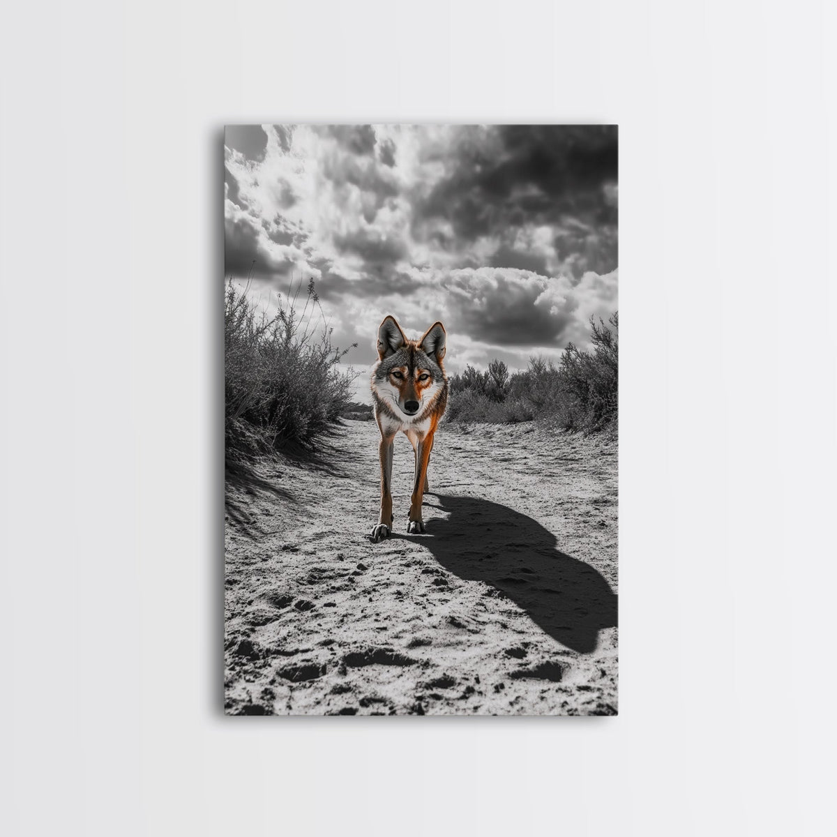 Desert Wolf, Wildlife Painting, Moody Art, Southwest Wall Art, Rustic Decor, Nature Scene, Canvas Print, Farmhouse Art