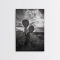 Prickly Pear, cactus art, Joshua tree art, wabi sabi art, moody art, black and white, framed canvas print, minimalist decor, rustic wall art